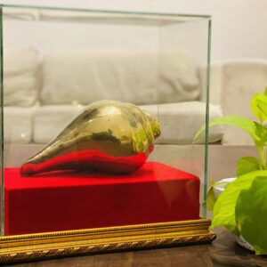 🐚 Brass Valampuri Display Box – “පිත්තල වාලම්පුරි” (Code: AE0027)