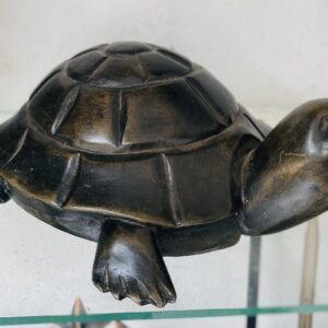 🐢 Wooden Turtle