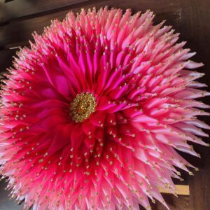 🪷 Pooja Mal for Karaduwa (පූජා මල් – කරඩුව යටට) 🪷 (medium) PM006